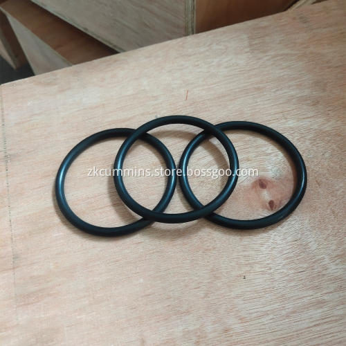 3081695 Cummins O Ring Seal